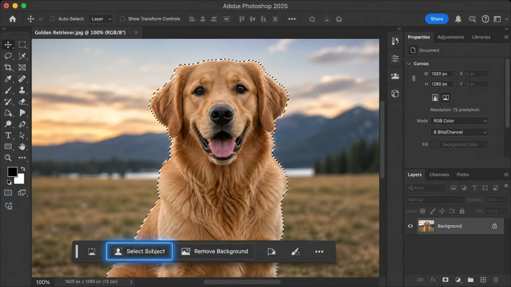Close-up of the Adobe Photoshop 2025 interface highlighting the AI-powered Select Subject button.